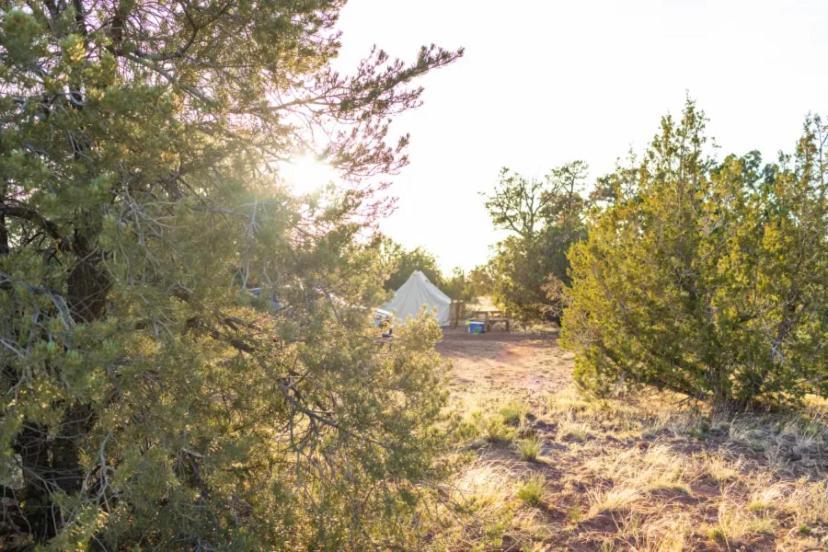 فالي The Kaya Glamping Tent By The Grand Canyon المظهر الخارجي الصورة